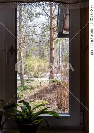 view of forest with melting snow through window view of forest with melting snow through window 140984873