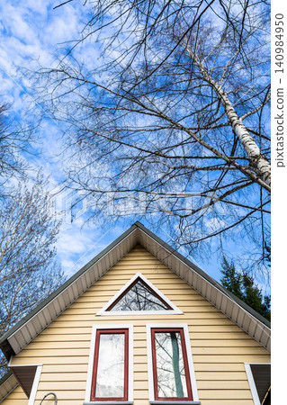 bare birch tree and attic of wooden country house bare birch tree and attic of wooden country house 140984950