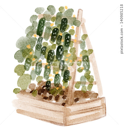 Cucumber garden bed watercolor hand painted illustration clipart isolated Cucumber garden bed watercolor hand painted illustration clipart isolated 140985218