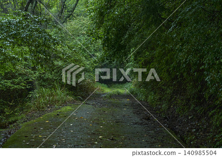 A mysterious forest path, a trail leading into an unknown abyss, foreshadows the prologue of a story. A mysterious forest path, a trail leading into an unknown abyss, foreshadows the prologue of a story. 140985504
