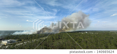 Huge wildfire burning severely in Florida jungle woods. Hot flames in forest. Thick smoke rising up Huge wildfire burning severely in Florida jungle woods. Hot flames in forest. Thick smoke rising up 140985624