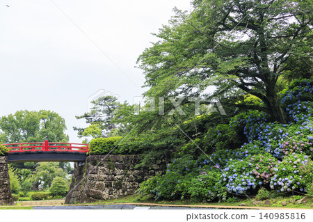 Odawara Castle Ruins Park during the rainy season 140985816