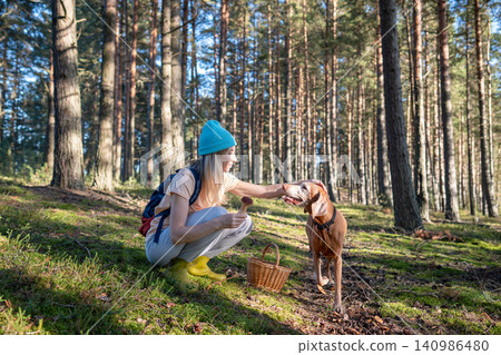 Cheerful woman forager hiking in pine woods collecting edible Boletus mushrooms with Vizsla dog. 140986480