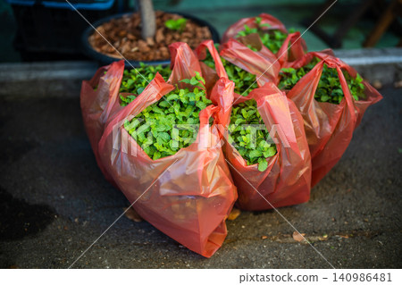 Green lush potted mint herbs neatly packed in plastic bags stand on ground at street flower market. Green lush potted mint herbs neatly packed in plastic bags stand on ground at street flower market. 140986481