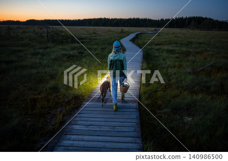 Woman hiker walking late with basket full of mushrooms on wooden pathway accompanied by dog. Woman hiker walking late with basket full of mushrooms on wooden pathway accompanied by dog. 140986500