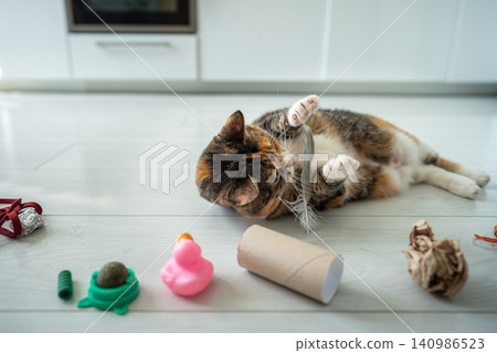 Positive cat enjoying playing with feather comfortably lying on floor surrounded by favorite toys. Positive cat enjoying playing with feather comfortably lying on floor surrounded by favorite toys. 140986523