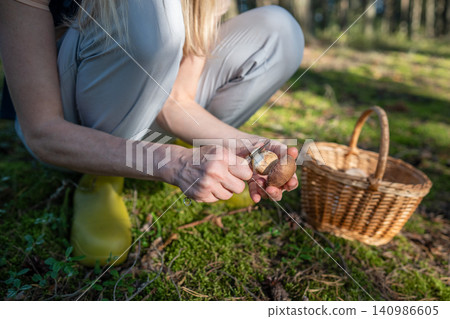 Woman picks mushroom in forest, cleaning, scrapes dirt off porcini with knife. Foraging wild food. Woman picks mushroom in forest, cleaning, scrapes dirt off porcini with knife. Foraging wild food. 140986605
