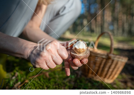 Woman picks mushroom in forest, cleaning, scrapes dirt off porcini with knife. Foraging wild food. Woman picks mushroom in forest, cleaning, scrapes dirt off porcini with knife. Foraging wild food. 140986898