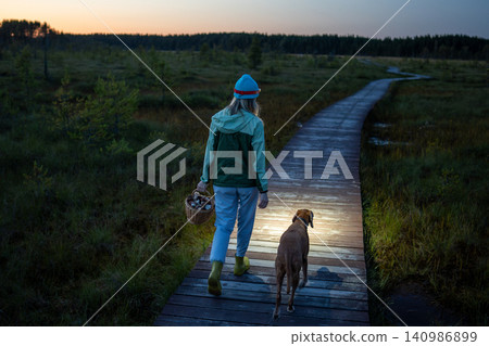Woman with dog walks through peat bog at wooden path at dusk, lighting her way with headlamp on head Woman with dog walks through peat bog at wooden path at dusk, lighting her way with headlamp on head 140986899