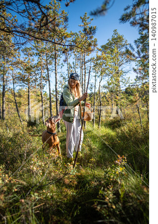Positive woman hiker with basket and stick on walk in wild woods together with playful Vizsla dog Positive woman hiker with basket and stick on walk in wild woods together with playful Vizsla dog 140987015