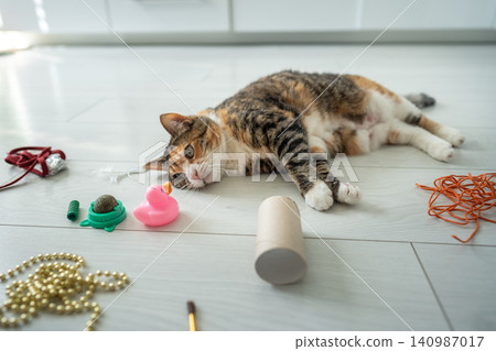 Lazy domestic kitty tired after play lies on floor at home in kitchen surrounded by various pet toys Lazy domestic kitty tired after play lies on floor at home in kitchen surrounded by various pet toys 140987017