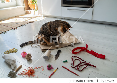 Interested cat sitting on paper bag surrounded by handmade pet toys made by caring pet owner. Interested cat sitting on paper bag surrounded by handmade pet toys made by caring pet owner. 140987026