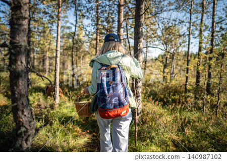 Woman nature lover with backpack and basket strolling through pine forest foraging for wild berries Woman nature lover with backpack and basket strolling through pine forest foraging for wild berries 140987102
