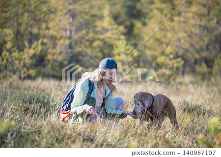 Cheerful woman hiker kneeling and feeding Vizsla dog with freshly harvested wild cranberries at bog Cheerful woman hiker kneeling and feeding Vizsla dog with freshly harvested wild cranberries at bog 140987107