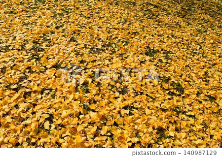 Fallen leaves, autumn image Fallen leaves, autumn image 140987129
