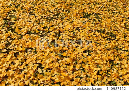Fallen leaves, autumn image Fallen leaves, autumn image 140987132