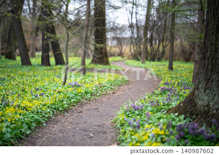 Spring in park with path and blooming yellow purple wildflowers covering ground with flower carpet. Spring in park with path and blooming yellow purple wildflowers covering ground with flower carpet. 140987602
