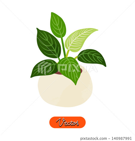 Philodendron birkin in a pot, watercolor-style hand-drawn vector illustration. Philodendron birkin in a pot, watercolor-style hand-drawn vector illustration. 140987991