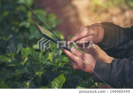 Smart farmer holding smartphone in eco green farm sustainable quality control. Close up Hand control planting tree. Farmer hands cultivated fresh garden in eco biotechnology. Farmland technology Smart farmer holding smartphone in eco green farm sustainable quality control. Close up Hand control planting tree. Farmer hands cultivated fresh garden in eco biotechnology. Farmland technology 140988349