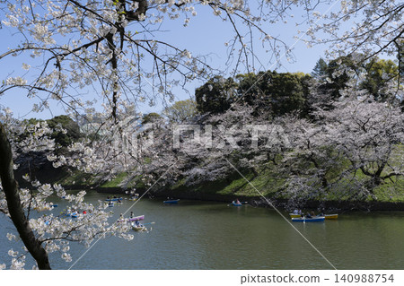 Cherry blossoms at Chidorigafuchi Cherry blossoms at Chidorigafuchi 140988754