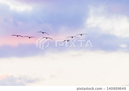 A group of magans A group of magans 140989649