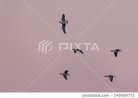A group of magans A group of magans 140989755