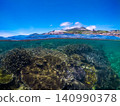 Beautiful coral reef right next to the road 140990378