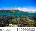 Beautiful coral reef right next to the road 140990382