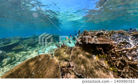 Bright and clean coral reef 140990383