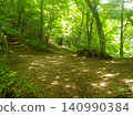 Small path surrounded by fresh greenery 140990384