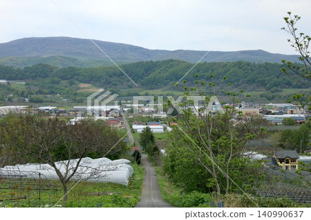 北海道二木町,五月,尻別地區,果樹,水果,水果王國,北海道二木的春天,櫻花盛開。 北海道二木町,五月,尻別地區,果樹,水果,水果王國,北海道二木的春天,櫻花盛開。 140990637