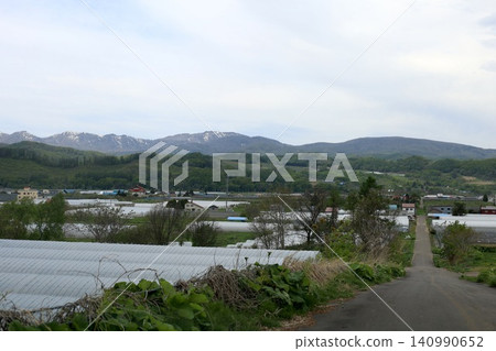 北海道二木町，五月，尻別地區，果樹，水果，水果王國，北海道二木的春天，櫻花盛開。 140990652