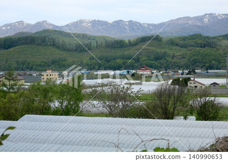 北海道二木町,五月,尻別地區,果樹,水果,水果王國,北海道二木的春天,櫻花盛開。 北海道二木町,五月,尻別地區,果樹,水果,水果王國,北海道二木的春天,櫻花盛開。 140990653