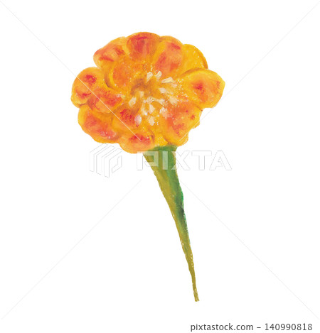 Marigold oil pastel painting Marigold oil pastel painting 140990818