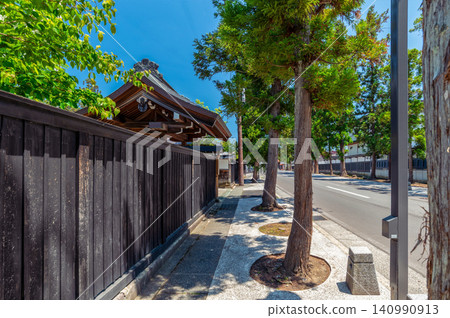 [Zenrin-gai, Hirosaki City] Cedar trees lining Zenrin-gai 140990913