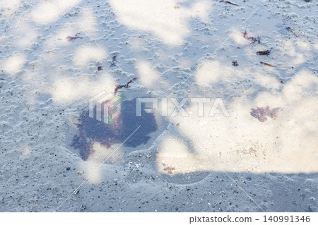 沙灘上的海藻(背景素材) 沙灘上的海藻(背景素材) 140991346
