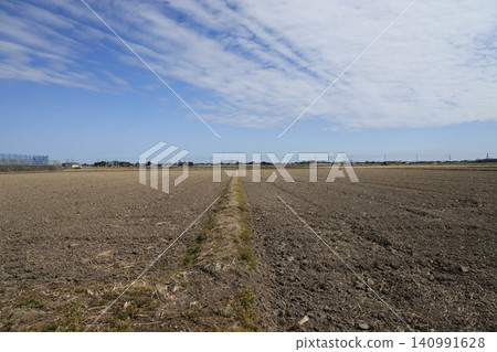 A rural landscape of Kuki City, Saitama Prefecture, with vast expanses of dry rice fields. 140991628