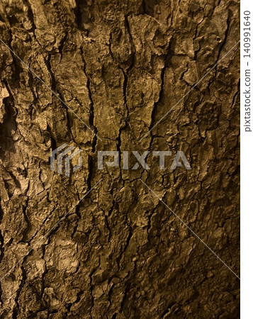 Tree trunk and bark texture background material Tree trunk and bark texture background material 140991640