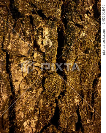 Moss-covered tree bark texture background material Moss-covered tree bark texture background material 140991643