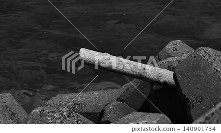 driftwood placed on breakwater blocks driftwood placed on breakwater blocks 140991734