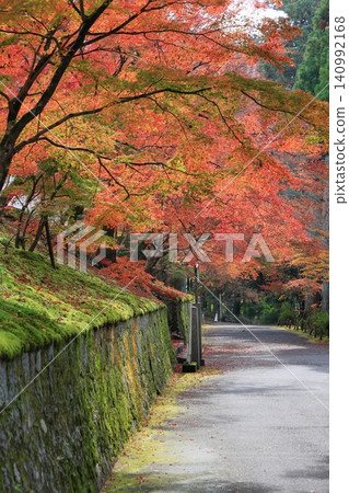 A Kyoto path adorned with beautiful autumn leaves A Kyoto path adorned with beautiful autumn leaves 140992168