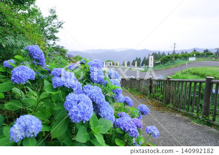 雨天的繡球花，遠處可見紀伊山脈 [和歌山縣] 140992182