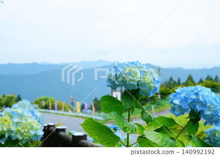雨天的繡球花，遠處可見紀伊山脈 [和歌山縣] 140992192