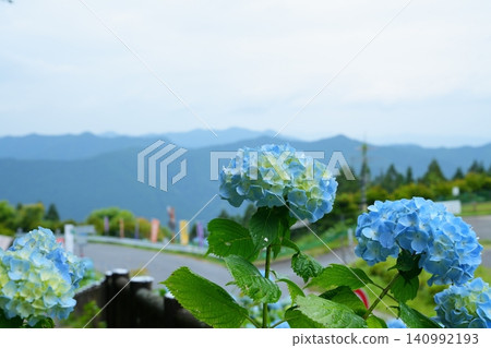 雨天的繡球花，遠處可見紀伊山脈 [和歌山縣] 140992193