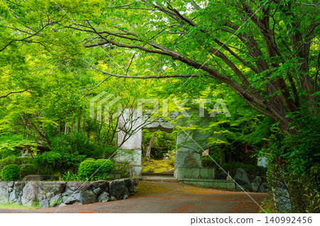 The approach to Myōshūji Temple, enveloped in fresh greenery. The approach to Myōshūji Temple, enveloped in fresh greenery. 140992456