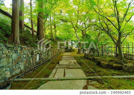 The approach to Myōshūji Temple, enveloped in fresh greenery. The approach to Myōshūji Temple, enveloped in fresh greenery. 140992465