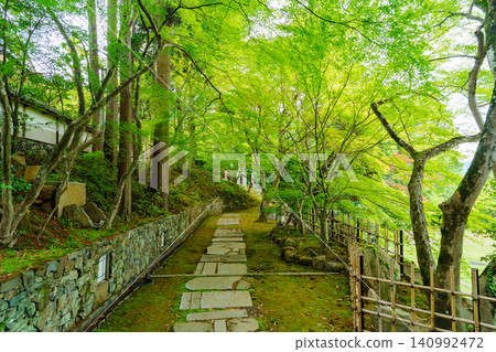 The approach to Myōshūji Temple, enveloped in fresh greenery. The approach to Myōshūji Temple, enveloped in fresh greenery. 140992472