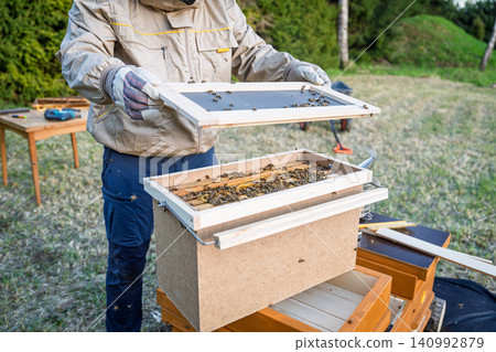 Beekeeper inspecting wooden beehive in the Netherlands during a sunny summer afternoon session Beekeeper inspecting wooden beehive in the Netherlands during a sunny summer afternoon session 140992879