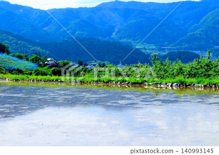 The terraced rice fields of Obasute in June; the scenery of Shinshu; the nature of Shinshu; the views of Shinshu. The terraced rice fields of Obasute in June; the scenery of Shinshu; the nature of Shinshu; the views of Shinshu. 140993145