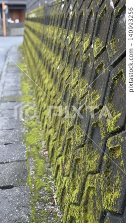 A landscape of moss-covered retaining walls A landscape of moss-covered retaining walls 140993256